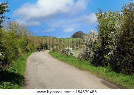 Wadebridge, Cornwall, Uk - April 6 2017: Cyclists Riding Along The Camel Trail From Wadebridge To Pa
