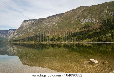 Beautiful Bohinj lake and its green surroundings in Slovenia during springtime