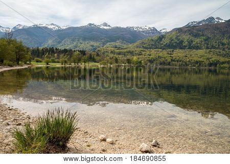 Beautiful Bohinj lake and its green surroundings in Slovenia during springtime