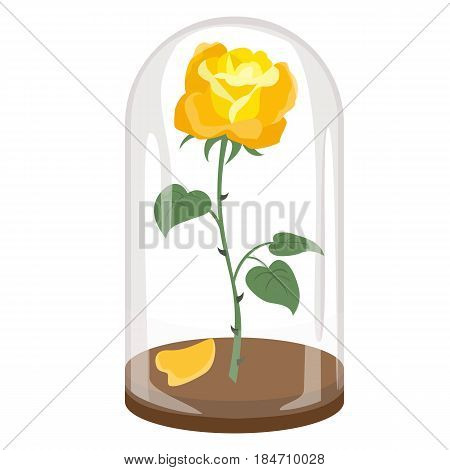 Rose in a flask of glass on the white background. Vector illustration.