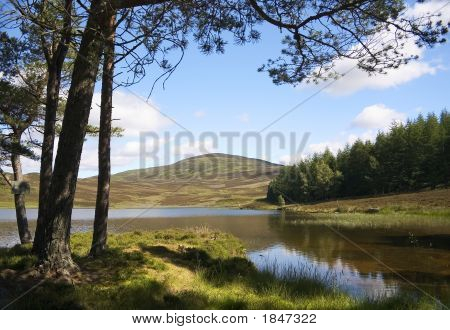 Auchintaple Loch 
