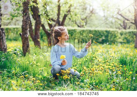 beautiful blond girl with blue eyes gathers dandelions on the meadow