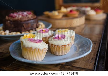 Close up of cupcakes served in plate at cafe shop