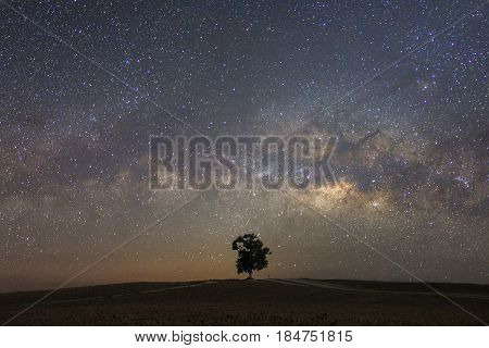 Beautiful milky way with a single treebackground.Landscape with night starry sky and a tree on hill