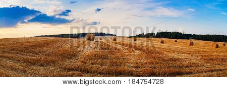 Autumn field with hay bales after harvest. Field of cut grass with straw bales. Beautiful sunset sky. Rural landscape with haystacks. Panoramic shot.