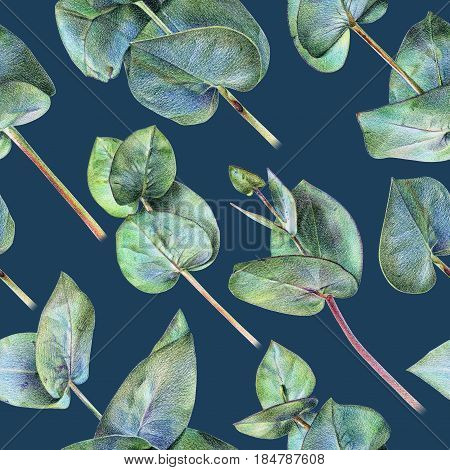 Seamless floral pattern with green eucalyptus. Spring plants. Botanical natural background drawn by hand with colored pencil