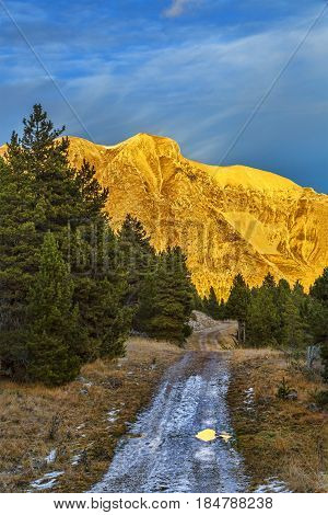 Beautiful sunset seen from a forest in Devoluy Massif in winter. The absence of the snow is a worrying sign for global warming.
