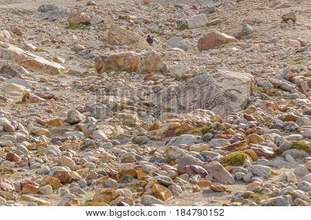 Rocky Landscape, Patagonia, Argentina