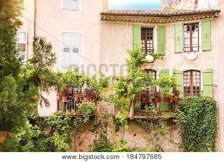 House with shutters curled with ivy. France. Romantic retro style