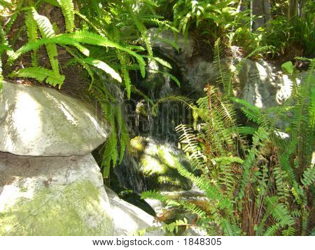 Water