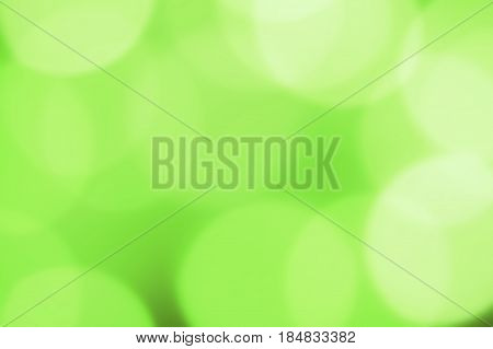 Natural green bright blur background of sunny summer forest