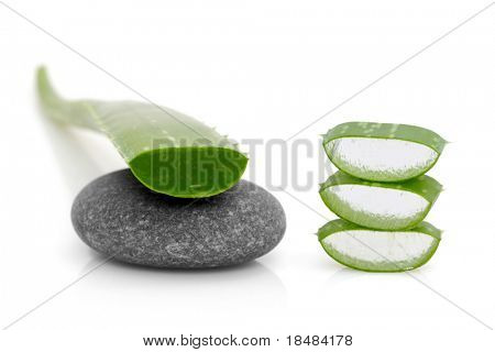 foglia di aloe vera su una pietra