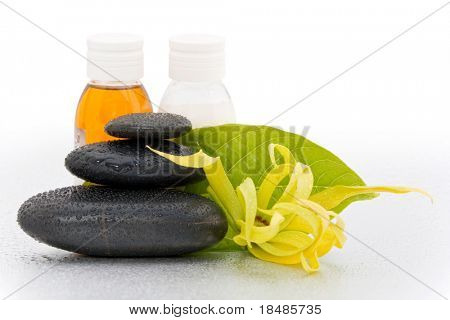 검은 스파 돌과 한 일 랑 꽃의 근접 촬영입니다.