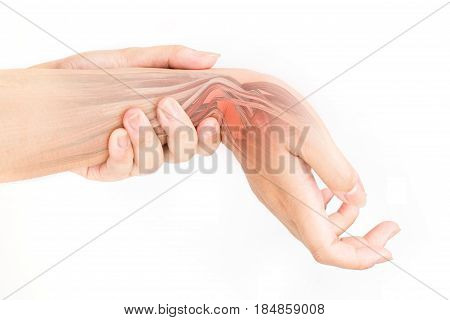 wrist muscle injury white background wrist pain