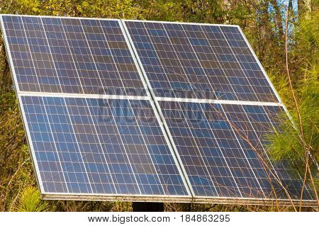 Solar panel sitting in the woods surrounded by trees