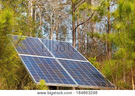 Solar panel sitting in the woods surrounded by trees