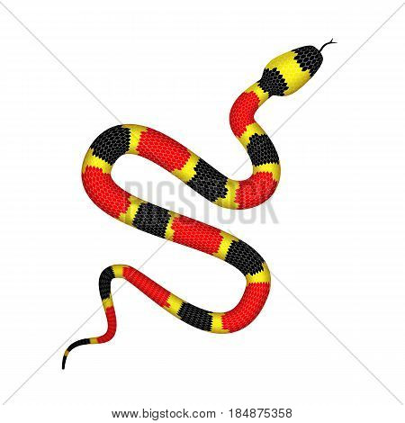 Vector 3d Illustration of Coral Snake or Micrurus Isolated on White Background. Serpent with Red Black and Yellow Stripes