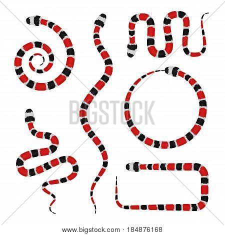 Vector 3D Illustration Of Coral Snake Or Micrurus Isolated On White