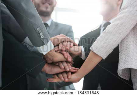 concept team: friendly business team should put their palms toge