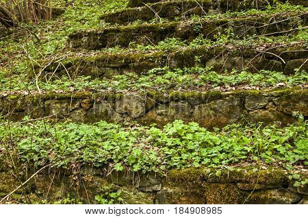 Stone benches in forest park overgrown with vegetation and moss in springtime sunless day