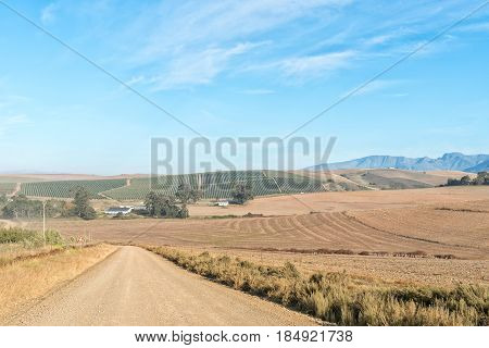 A farm landscape on the road between Riviersonderend town and Greyton in the Western Cape Province