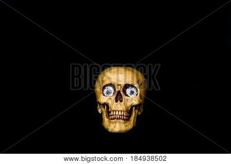 Frontview of human skull on isolated black background