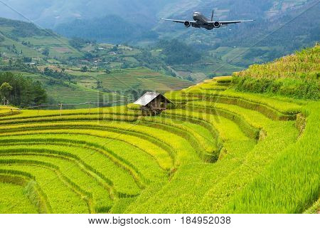 Rice fields on terraced of Mu Cang Chai YenBai Vietnam soft focus