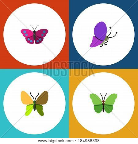 Flat Monarch Set Of Archippus, Milkweed, Summer Insect And Other Vector Objects. Also Includes Butterfly, Milkweed, Moth Elements.