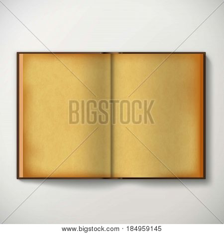 Old Open Antique Book With Open Blank Sheets Isolated On White Background. Stock Vector Illustration