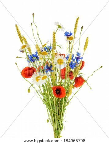 Bouquet Of Beautiful Flowers (cornflowers, Chamomiles Wheat And Poppies) Isolated Without Shadow