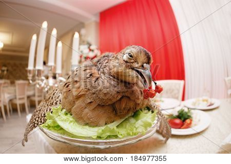 a wounded pheasant hunting. cooked chef to the Banquet. Traditional still life feast.