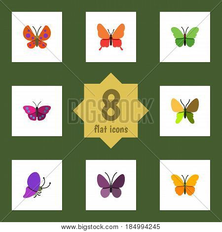 Flat Moth Set Of Beauty Fly, Moth, Archippus And Other Vector Objects. Also Includes Butterfly, Monarch, Moth Elements.