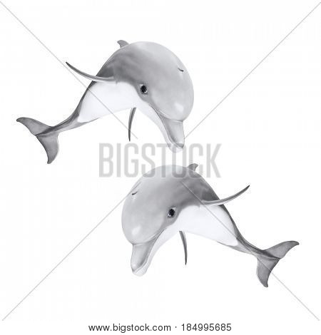 Two jumping Bottlenose Dolphins - Tursiops Truncatus. Sea life isolated on white background. Animal 3D illustration for your happiness.