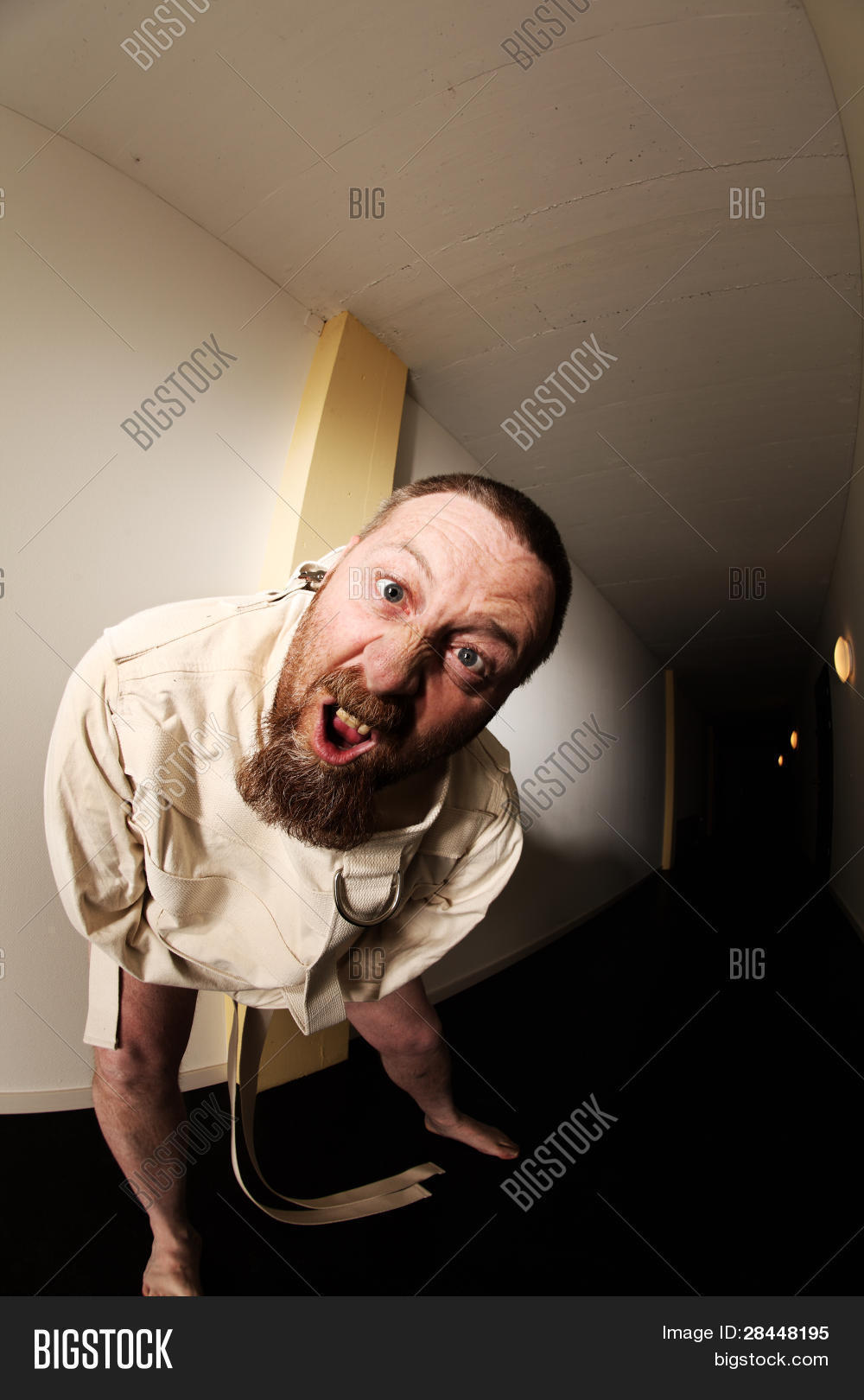 Lunatic Straitjacket Image &amp; Photo (Free Trial) | Bigstock