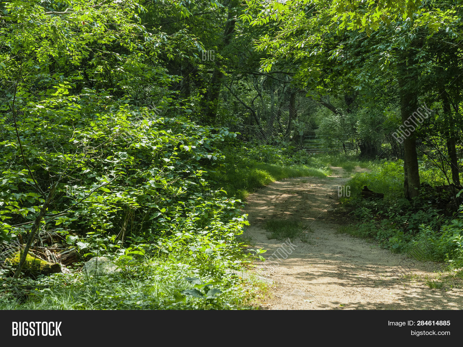 Dirt Path Curving Image Photo Free Trial Bigstock