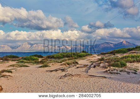 Seacoast near Can Picafort beach in sunset, Mallorca, Balearic islands, Spain