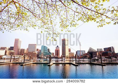 Inner Harbor And Baltimore Skyline, In Spring, Usa