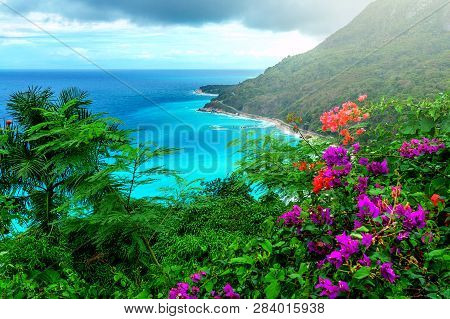 Paradise Vacation, Delightful Caribbean Landscape, Green Mountains, Bright Flowers And Turquoise Sea