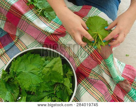 Corned Vine Leaves Preparation. Olive Oil Leaf Wrapping Dinner Material. Turkish Meal