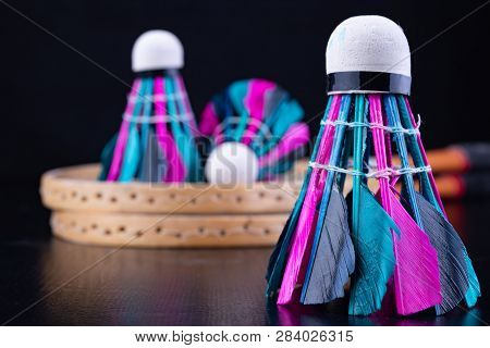 Colorful Feathers In The Badminton Shuttlecock. Team Play Set.