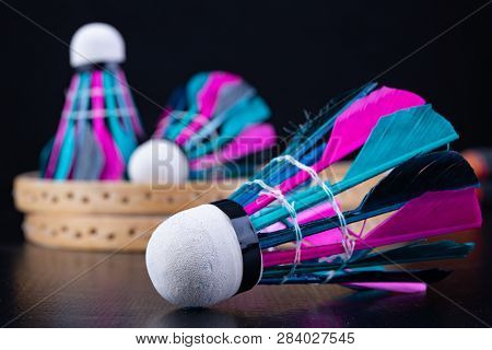 Colorful Feathers In The Badminton Shuttlecock. Team Play Set.