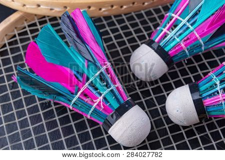Colorful Feathers In The Badminton Shuttlecock. Team Play Set.