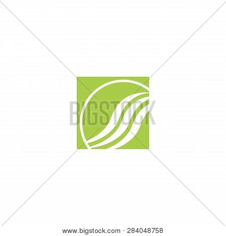 Fashion Hair Creative Logo Template Vector Illustration Icon Element