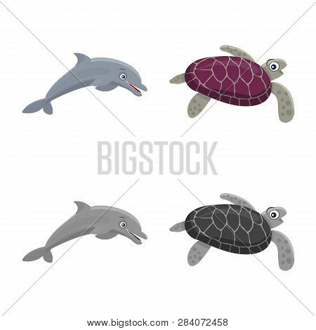 Vector Design Of Sea And Animal Sign. Set Of Sea And Marine Vector Icon For Stock.