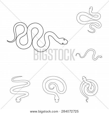 Vector Illustration Of Poison And Evil Logo. Set Of Poison And Bite Stock Vector Illustration.