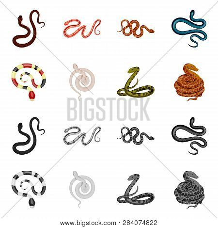 Vector Illustration Of Mammal And Danger Sign. Set Of Mammal And Medicine Stock Vector Illustration.