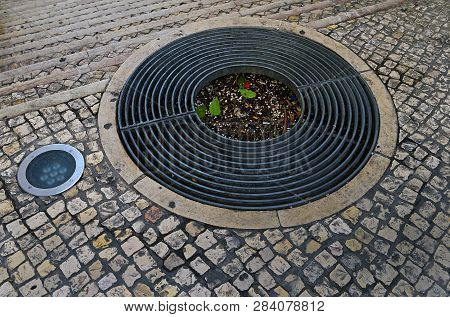 Round Grille To Protect The Roots Of The Tree, Street Lighting And Sidewalk Mosaic (calcada) In Lisb