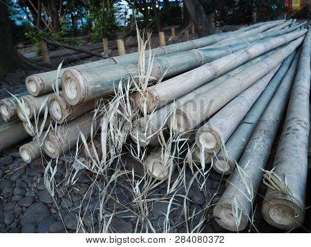 Tangerang, Indonesia - October 19, 2018: A Pile Of Bamboo Sticks Lay On The Ground At Taman Bambu.