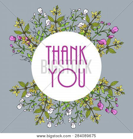 Thank You Cards With Beautiful Sweet Pea Flowers And Forsythia Branches. Vector Illustration
