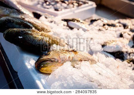 Fresh Fish Is For Sale On The Fishmonger, Outdoor Seafood Market.